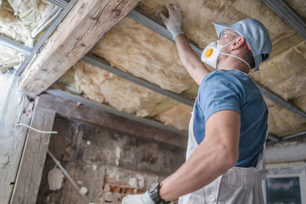 Best DIY Insulation Kits and Guidance in Indian Hills, KY